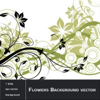 Flowers and Swirls Background vector