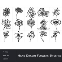 Hand Drawn Flowers Brushes