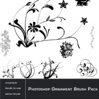 Photoshop Ornament Brush Pack