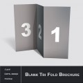 blank-tri-fold-brochure-mock-up