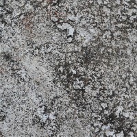 Grey Grunge Texture