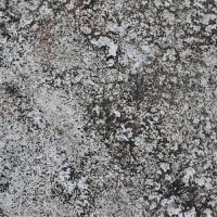 Grey Grunge Texture