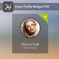 Clean Profile Widget PSD