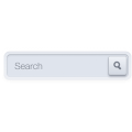 search box