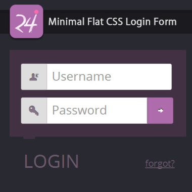 Minimal Flat CSS Login Form